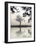 Winter Willow-Nicholas Bell-Framed Photographic Print