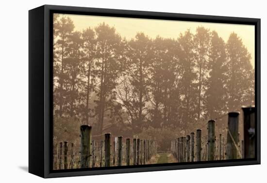 Winter Winyard Ii-Incredi-Framed Stretched Canvas