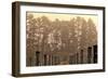 Winter Winyard Ii-Incredi-Framed Giclee Print