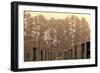 Winter Winyard Ii-Incredi-Framed Giclee Print