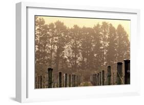 Winter Winyard Ii-Incredi-Framed Giclee Print