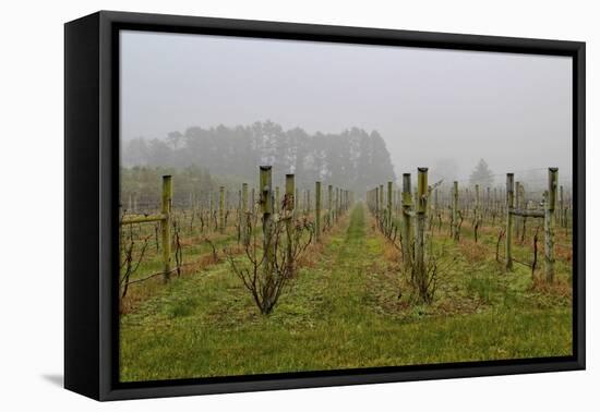 Winter Winyard Iii-Incredi-Framed Stretched Canvas