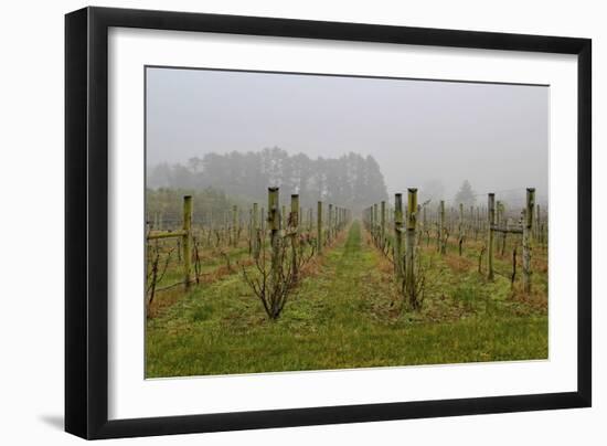 Winter Winyard Iii-Incredi-Framed Giclee Print