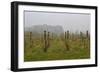 Winter Winyard Iii-Incredi-Framed Giclee Print