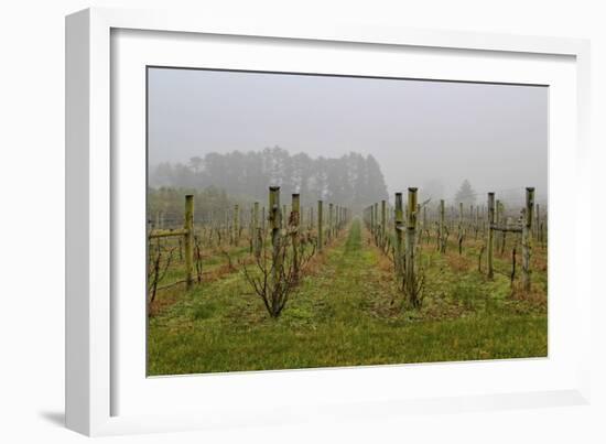 Winter Winyard Iii-Incredi-Framed Giclee Print