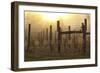 Winter Winyard-Incredi-Framed Giclee Print