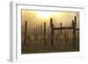 Winter Winyard-Incredi-Framed Giclee Print