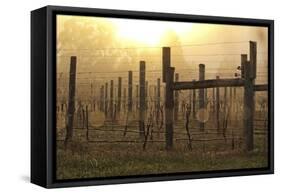 Winter Winyard-Incredi-Framed Stretched Canvas