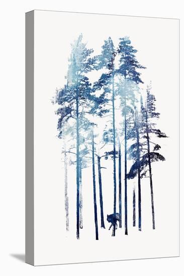 Winter Wolf-Robert Farkas-Stretched Canvas