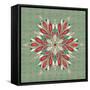 Winter Wonder VII Color-Dina June-Framed Stretched Canvas