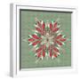 Winter Wonder VII Color-Dina June-Framed Art Print