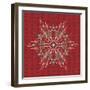 Winter Wonder VIII Color-Dina June-Framed Art Print