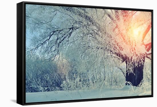Winter Wonderland Picturesque Landscape in Early Cold Morning with Soft Sunshine Breaking through T-Marina Zezelina-Framed Stretched Canvas