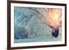 Winter Wonderland Picturesque Landscape in Early Cold Morning with Soft Sunshine Breaking through T-Marina Zezelina-Framed Photographic Print