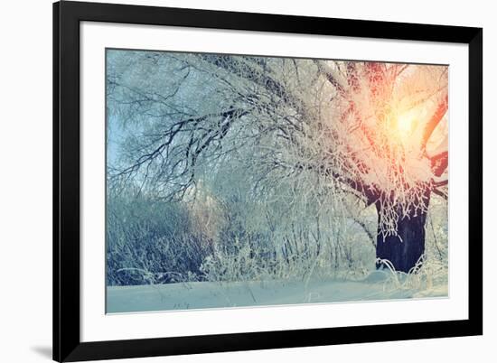 Winter Wonderland Picturesque Landscape in Early Cold Morning with Soft Sunshine Breaking through T-Marina Zezelina-Framed Photographic Print