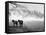 Winter Wonderland: Snow Scene in the Lake District, January 1946-null-Framed Stretched Canvas
