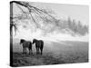 Winter Wonderland: Snow Scene in the Lake District, January 1946-null-Stretched Canvas