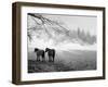 Winter Wonderland: Snow Scene in the Lake District, January 1946-null-Framed Photographic Print