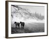 Winter Wonderland: Snow Scene in the Lake District, January 1946-null-Framed Photographic Print