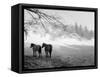 Winter Wonderland: Snow Scene in the Lake District, January 1946-null-Framed Stretched Canvas