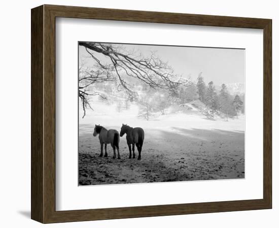 Winter Wonderland: Snow Scene in the Lake District, January 1946-null-Framed Photographic Print