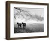 Winter Wonderland: Snow Scene in the Lake District, January 1946-null-Framed Photographic Print