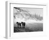 Winter Wonderland: Snow Scene in the Lake District, January 1946-null-Framed Photographic Print