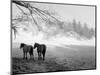 Winter Wonderland: Snow Scene in the Lake District, January 1946-null-Mounted Photographic Print