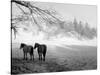 Winter Wonderland: Snow Scene in the Lake District, January 1946-null-Stretched Canvas