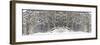 Winter Wonderland-Erin Clark-Framed Giclee Print