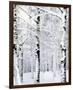 Winter Wonderland-Parker Greenfield-Framed Premium Giclee Print