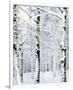 Winter Wonderland-Parker Greenfield-Framed Premium Giclee Print