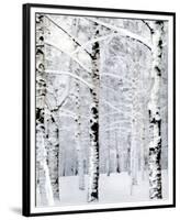 Winter Wonderland-Parker Greenfield-Framed Premium Giclee Print