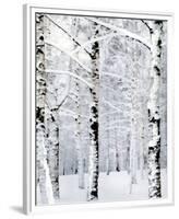 Winter Wonderland-Parker Greenfield-Framed Premium Giclee Print