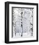 Winter Wonderland-Parker Greenfield-Framed Art Print