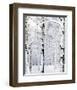 Winter Wonderland-Parker Greenfield-Framed Art Print