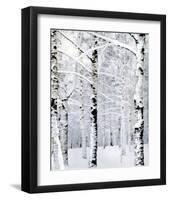 Winter Wonderland-Parker Greenfield-Framed Art Print