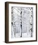 Winter Wonderland-Parker Greenfield-Framed Art Print