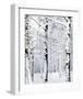 Winter Wonderland-Parker Greenfield-Framed Art Print