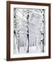 Winter Wonderland-Parker Greenfield-Framed Art Print