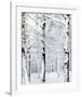 Winter Wonderland-Parker Greenfield-Framed Art Print