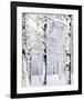 Winter Wonderland-Parker Greenfield-Framed Art Print