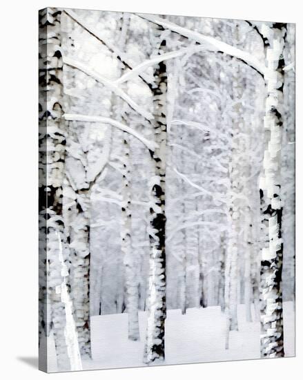 Winter Wonderland-Parker Greenfield-Stretched Canvas