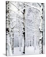 Winter Wonderland-Parker Greenfield-Stretched Canvas
