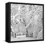 Winter Wonderland-Incredi-Framed Stretched Canvas