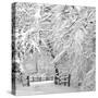 Winter Wonderland-Incredi-Stretched Canvas