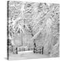 Winter Wonderland-Incredi-Stretched Canvas