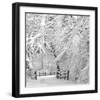 Winter Wonderland-Incredi-Framed Premium Photographic Print