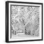 Winter Wonderland-Incredi-Framed Premium Photographic Print