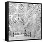 Winter Wonderland-Incredi-Framed Stretched Canvas